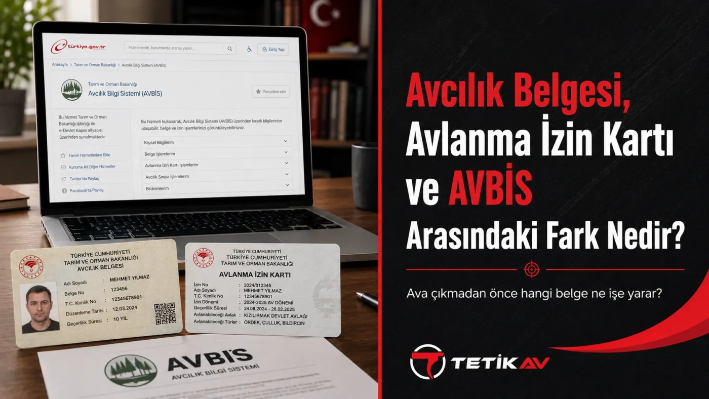 Türkiye'de yasal avcılık için gereken avcılık belgesi, avlanma izin kartı ve kotalı AVBİS rezervasyon sistemini anlatan rehber görseli.