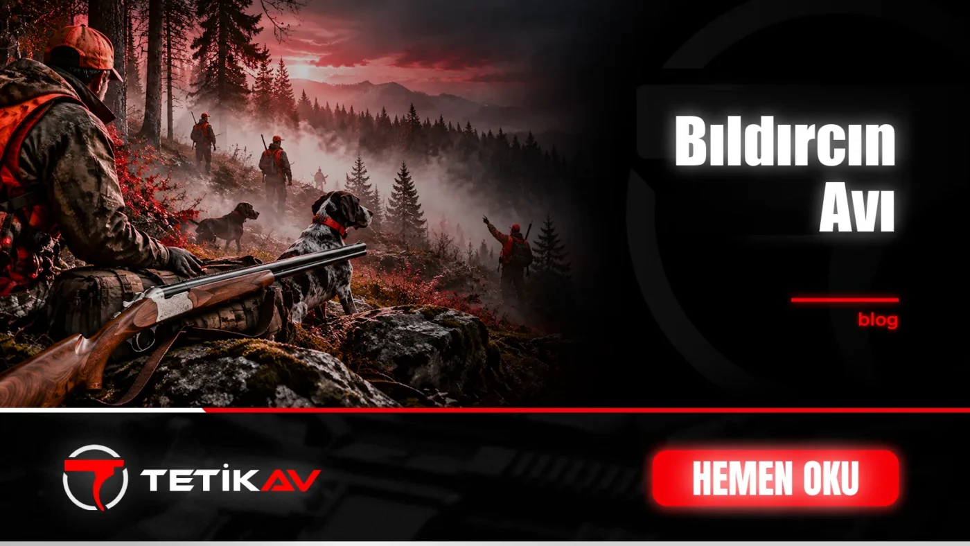 Bıldırcın Avı Nasıl Yapılır için Tetik Av blog kapak görseli